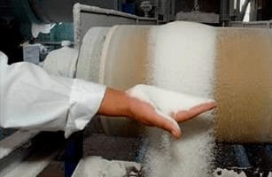 Сахарная промышленность